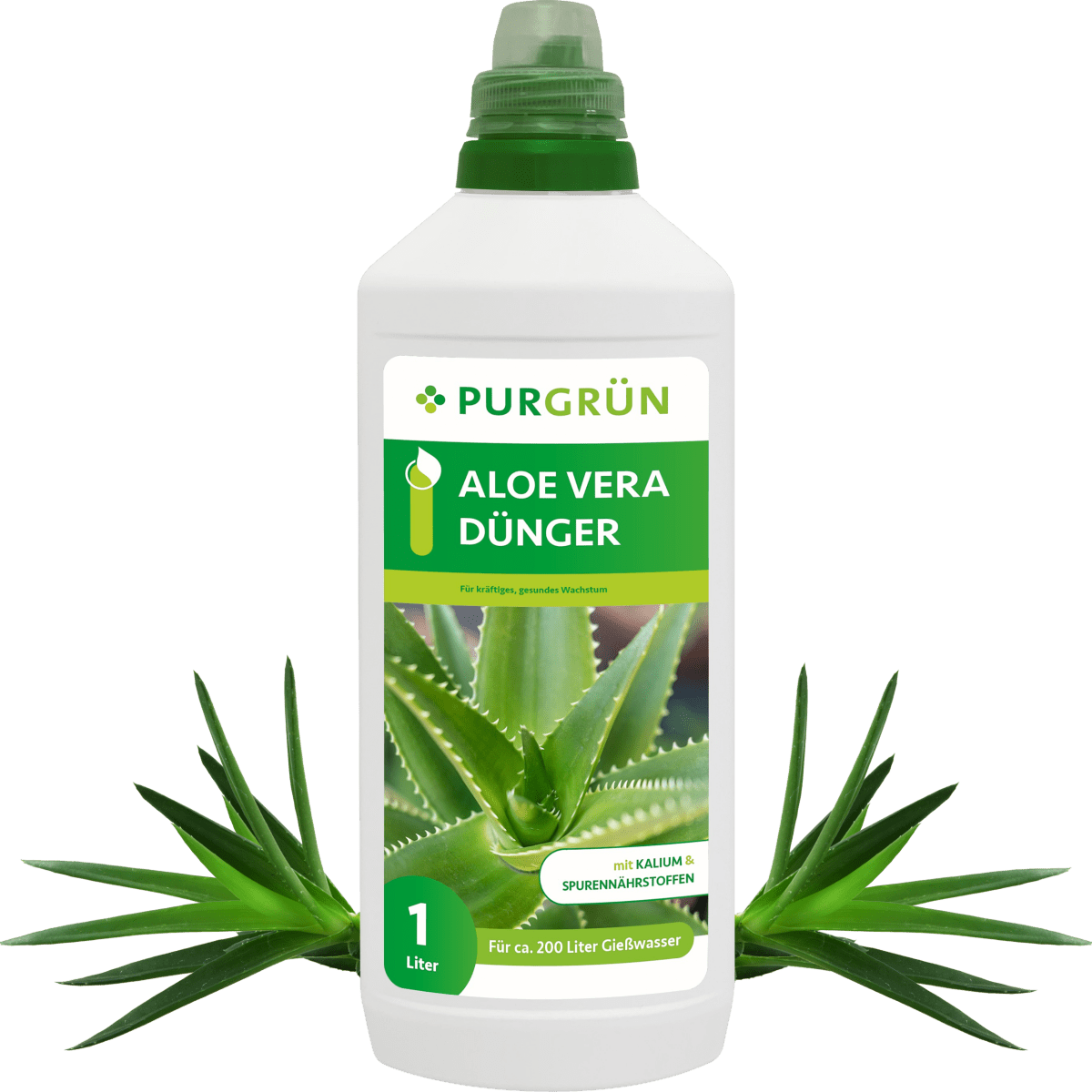 Stilvolle Aloe Vera Dünger Ebenbild