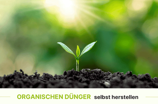 Dünger selbst herstellen - Purgrün