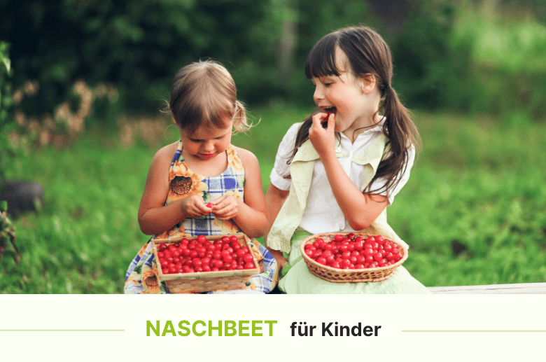 Naschbeet für Kinder anlegen – kinderleicht in 5 Schritten - Purgrün