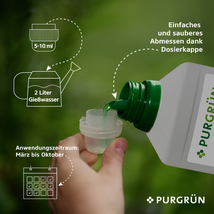 Farn-Dünger 1 Liter