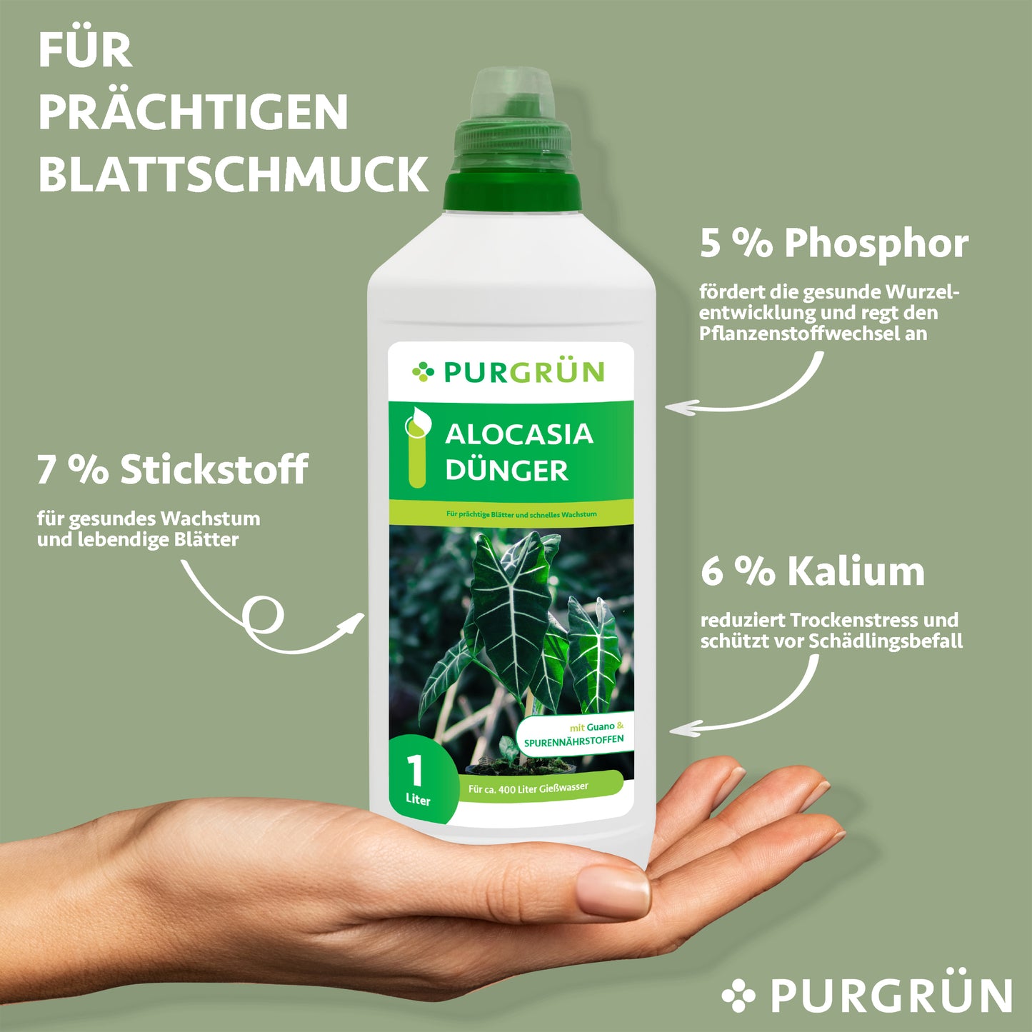 Alocasia-Dünger 1 Liter