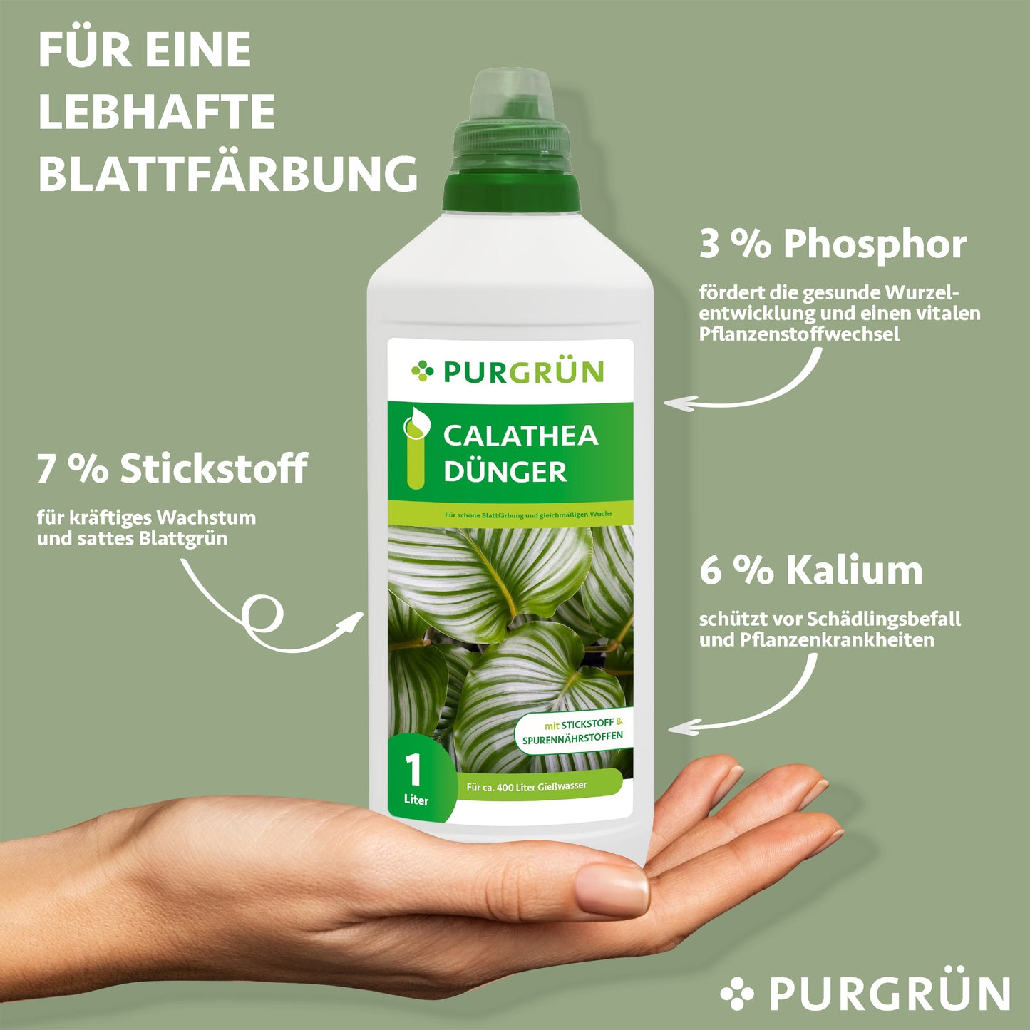 Calathea-Dünger 1 Liter