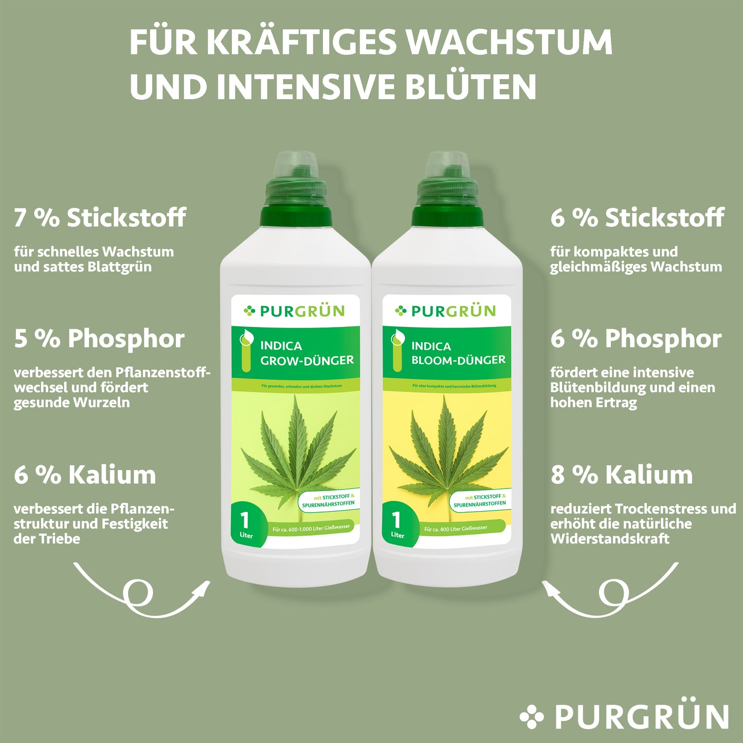 Indica-Dünger-Set 2 x 1 Liter