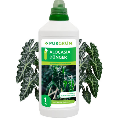 Alocasia-Dünger 1 Liter