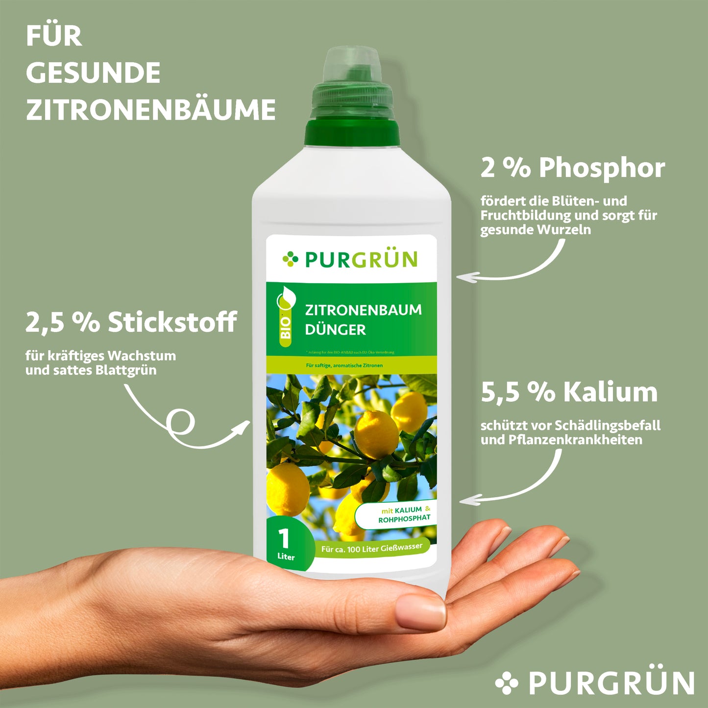 Bio-Zitronenbaum-Dünger 1 Liter