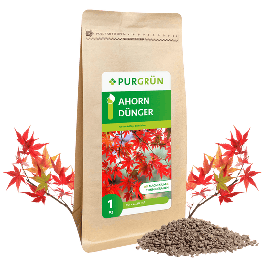 Ahorn-Dünger 1 kg - Purgrün