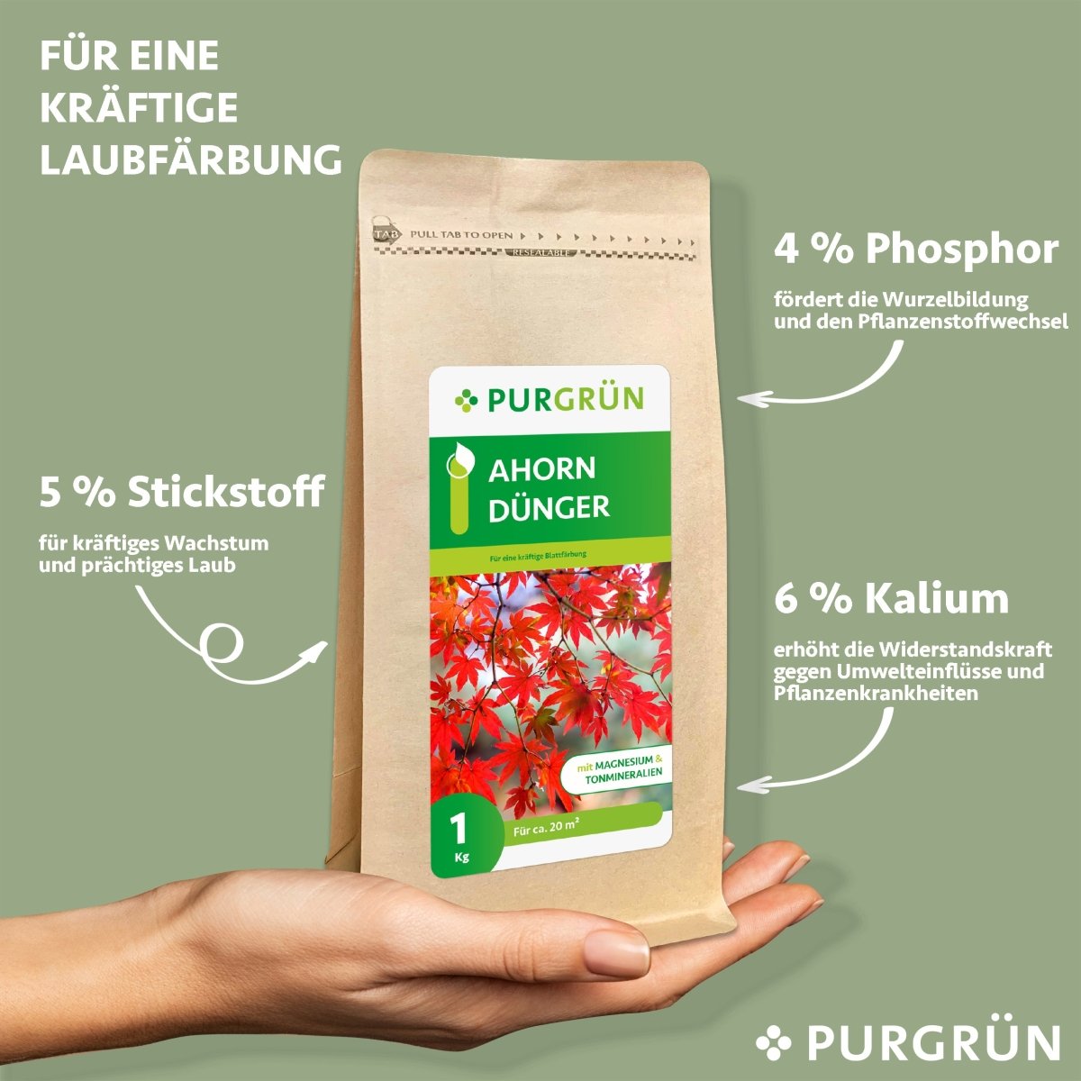 Ahorn-Dünger 1 kg - Purgrün