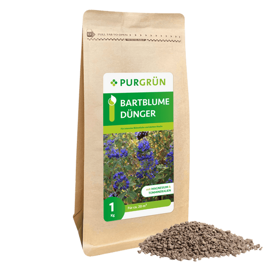 Bartblume-Dünger 1 kg - Purgrün