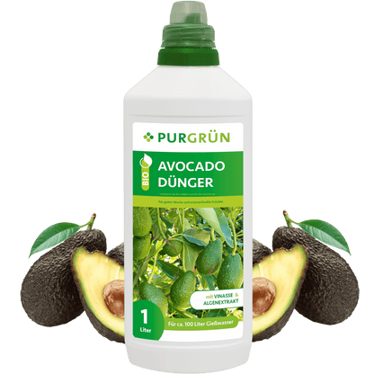 Bio-Avocadodünger 1 Liter - Purgrün