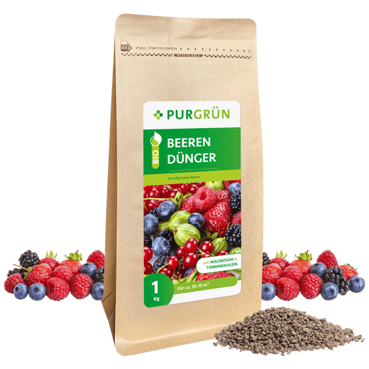 Bio-Beerendünger 1 kg - Purgrün