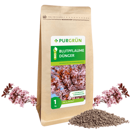 Bio-Blutpflaume-Dünger 1 kg - Purgrün