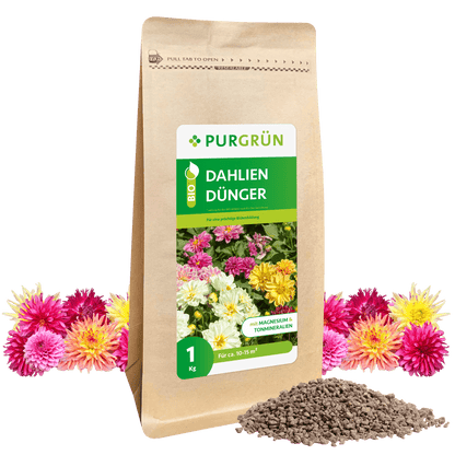 Bio-Dahlien-Dünger 1 kg - Purgrün