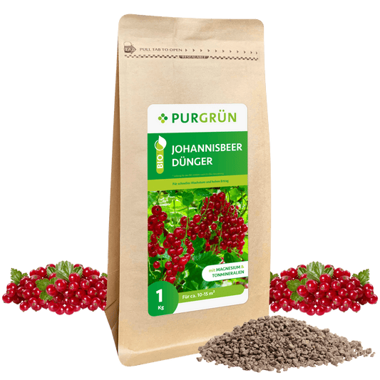 Bio-Johannisbeer-Dünger 1 kg - Purgrün