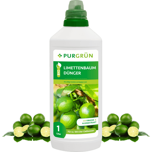 Bio-Limettenbaum-Dünger 1 Liter - Purgrün