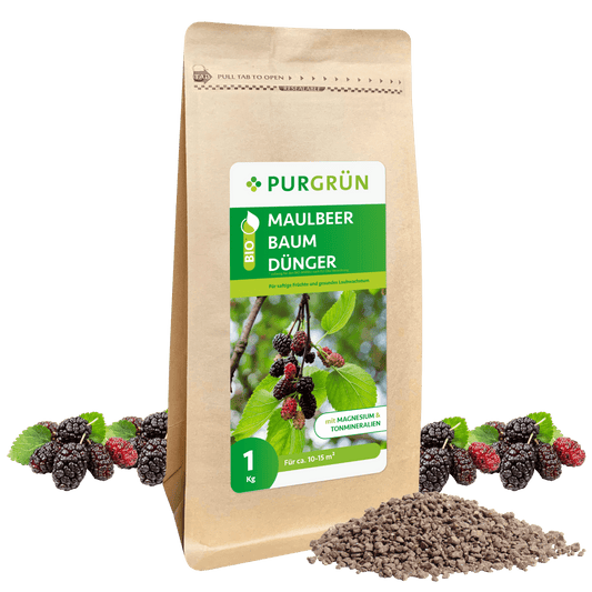 Bio-Maulbeerbaum-Dünger 1 kg - Purgrün