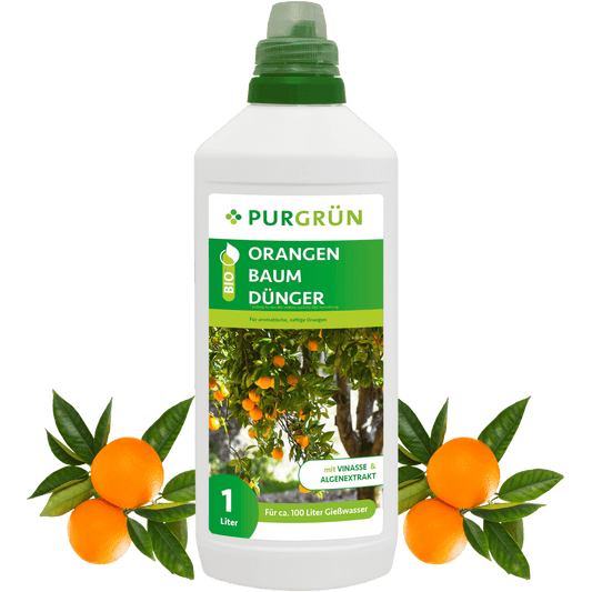 Bio-Orangenbaum-Dünger 1 Liter - Purgrün