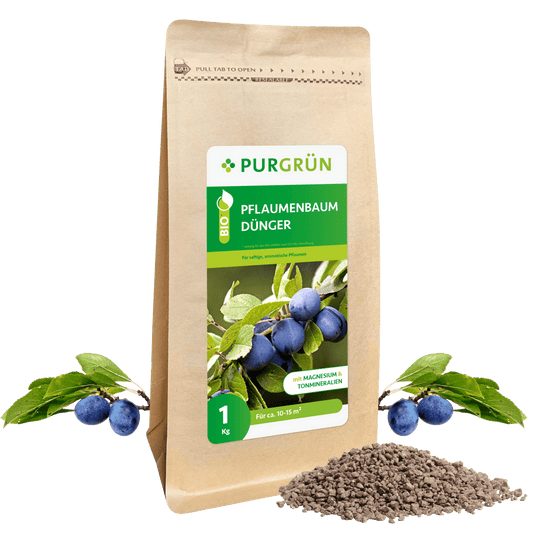 Bio-Pflaumenbaum-Dünger 1 kg - Purgrün