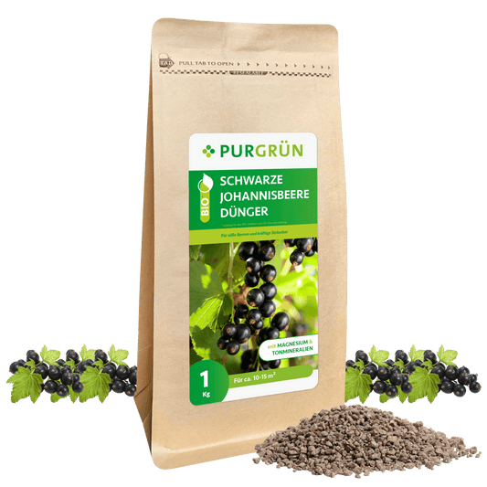 Bio-Schwarze-Johannisbeere-Dünger 1 kg - Purgrün