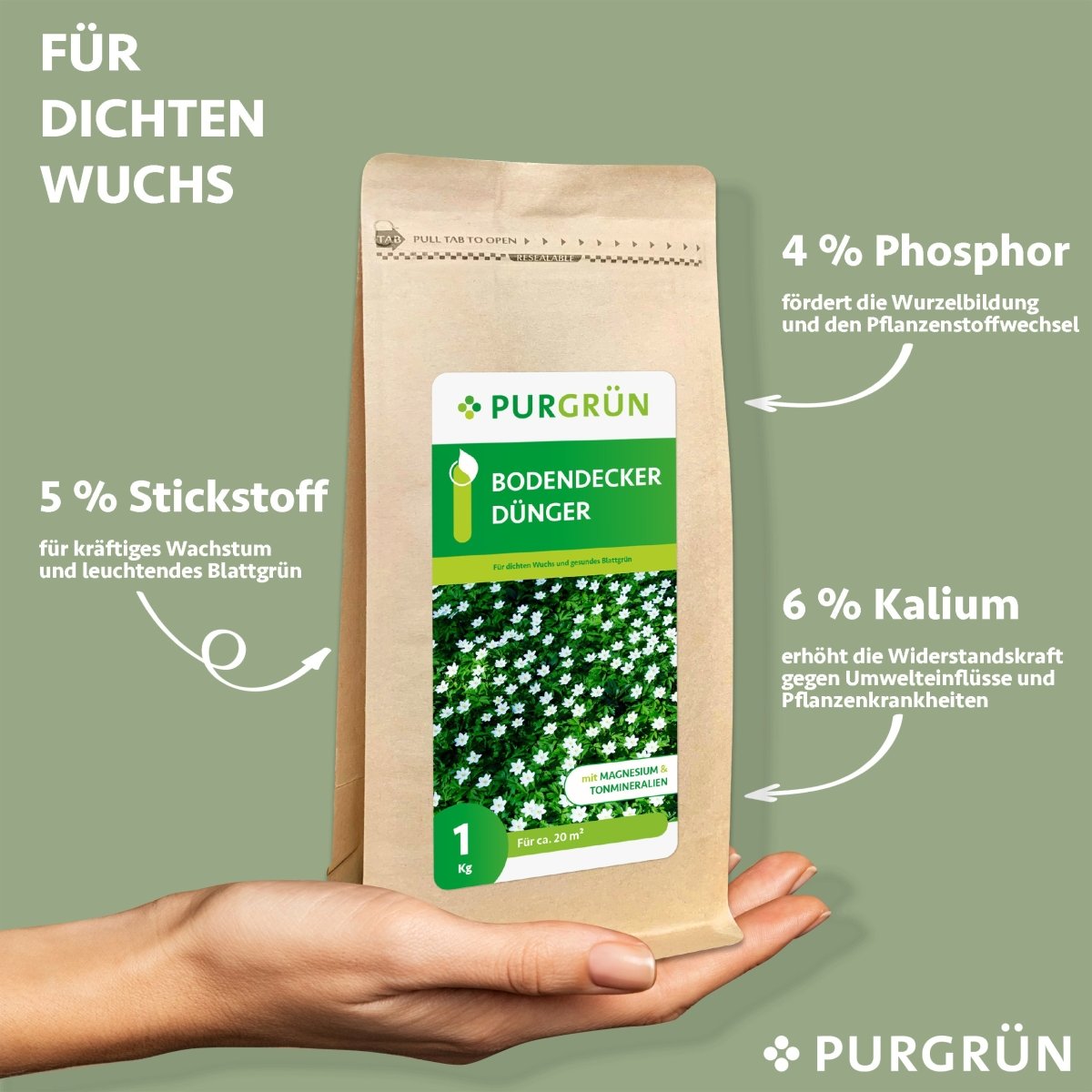 Bodendecker-Dünger 1 kg - Purgrün