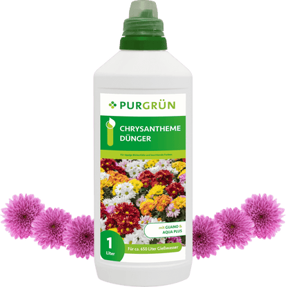 Chrysantheme-Dünger 1 Liter - Purgrün