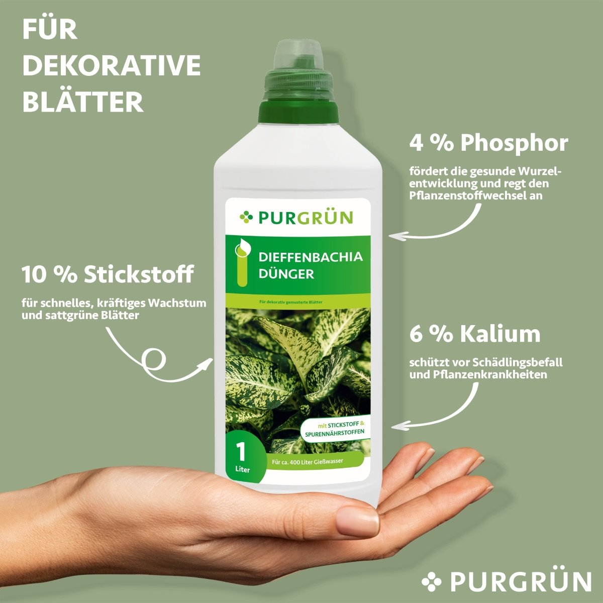 Dieffenbachia-Dünger 1 Liter - Purgrün