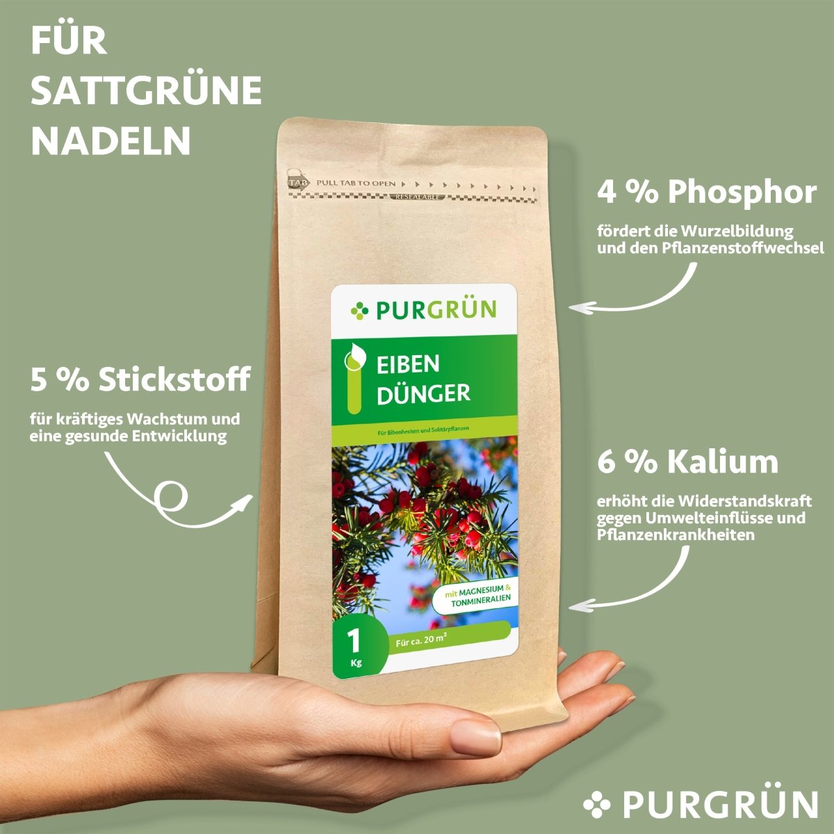 Eibendünger 1 kg - Purgrün