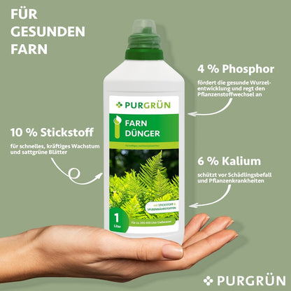 Farn-Dünger 1 Liter - Purgrün