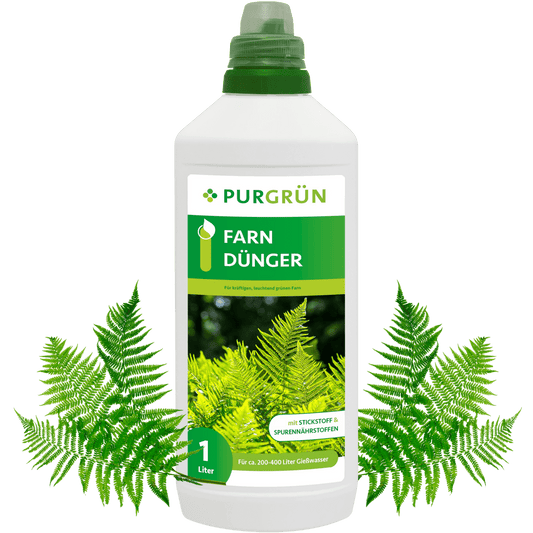 Farn-Dünger 1 Liter - Purgrün