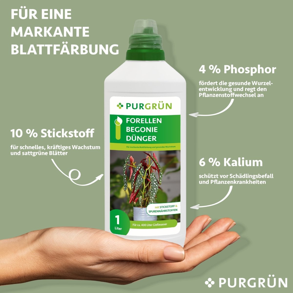 Forellenbegonie-Dünger 1 Liter - Purgrün