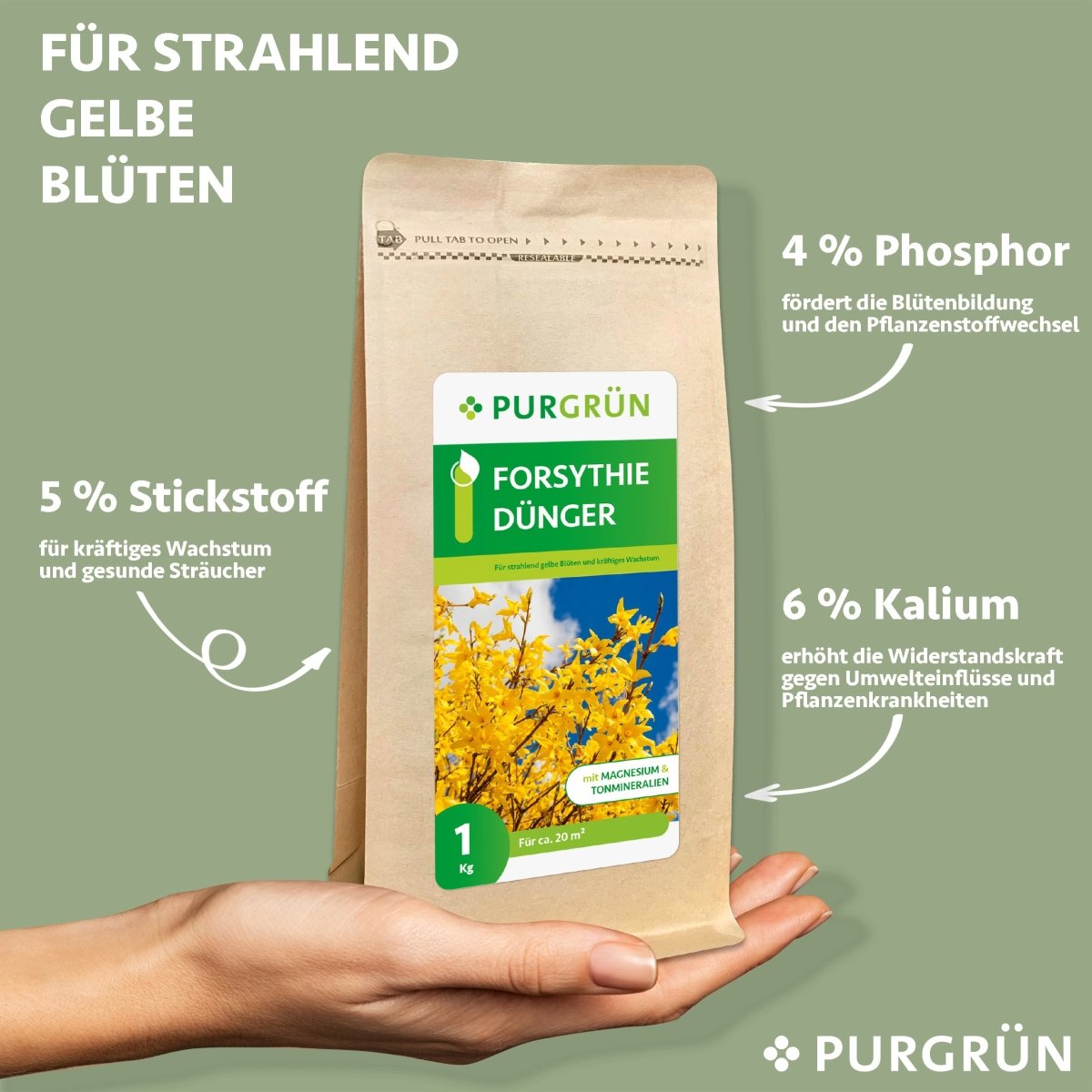 Forsythie-Dünger 1 kg - Purgrün