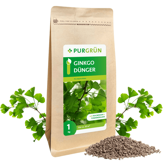 Ginkgo-Dünger 1 kg - Purgrün