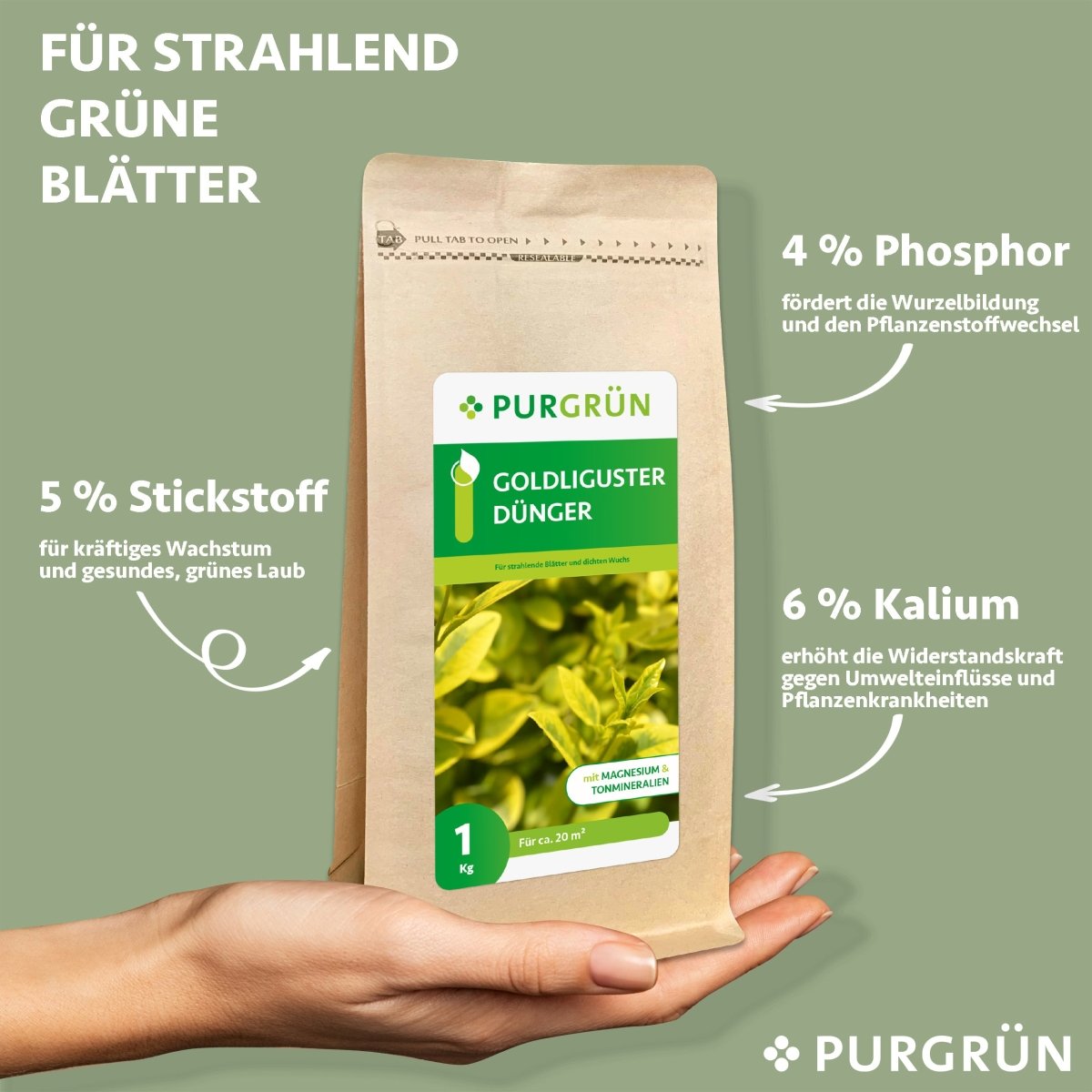 Goldliguster-Dünger 1 kg - Purgrün