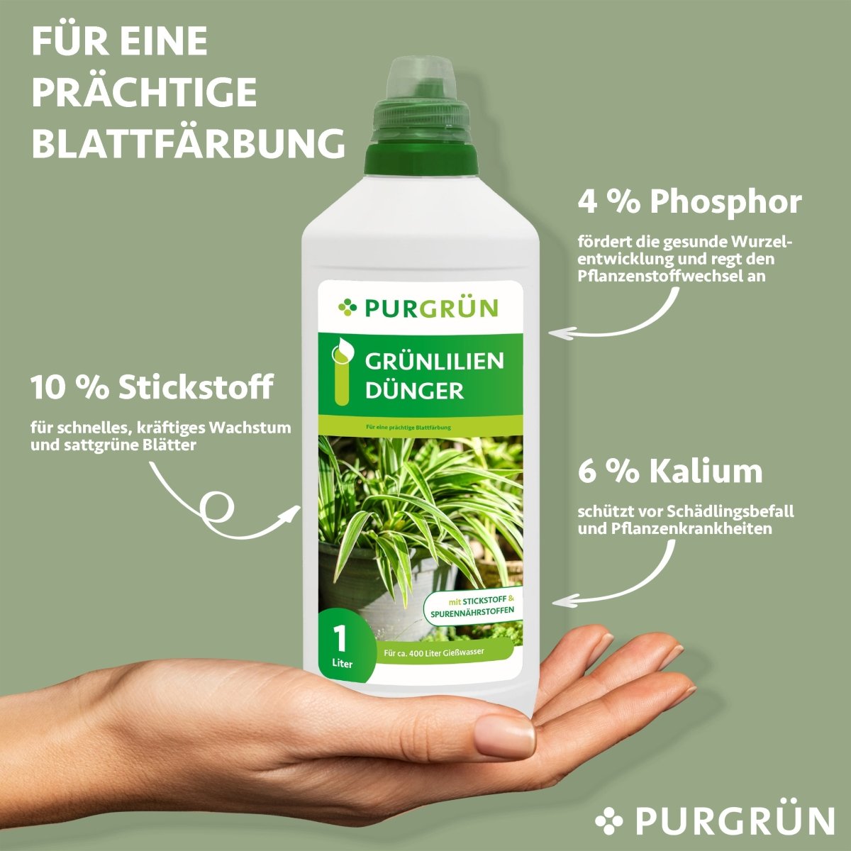 Grünlilien-Dünger 1 Liter - Purgrün