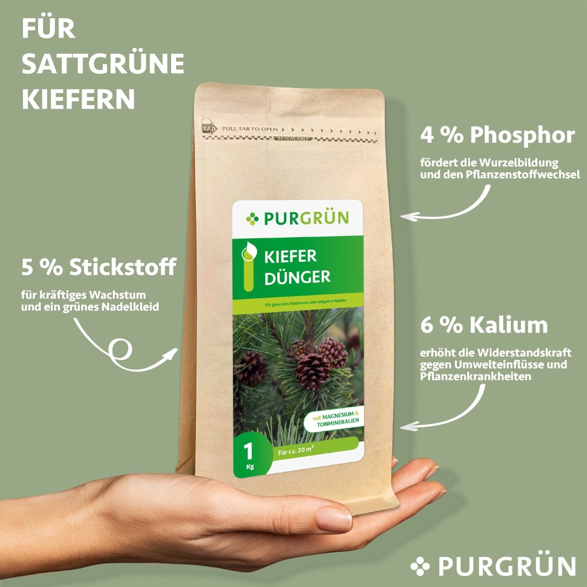 Kiefer-Dünger 1 kg - Purgrün