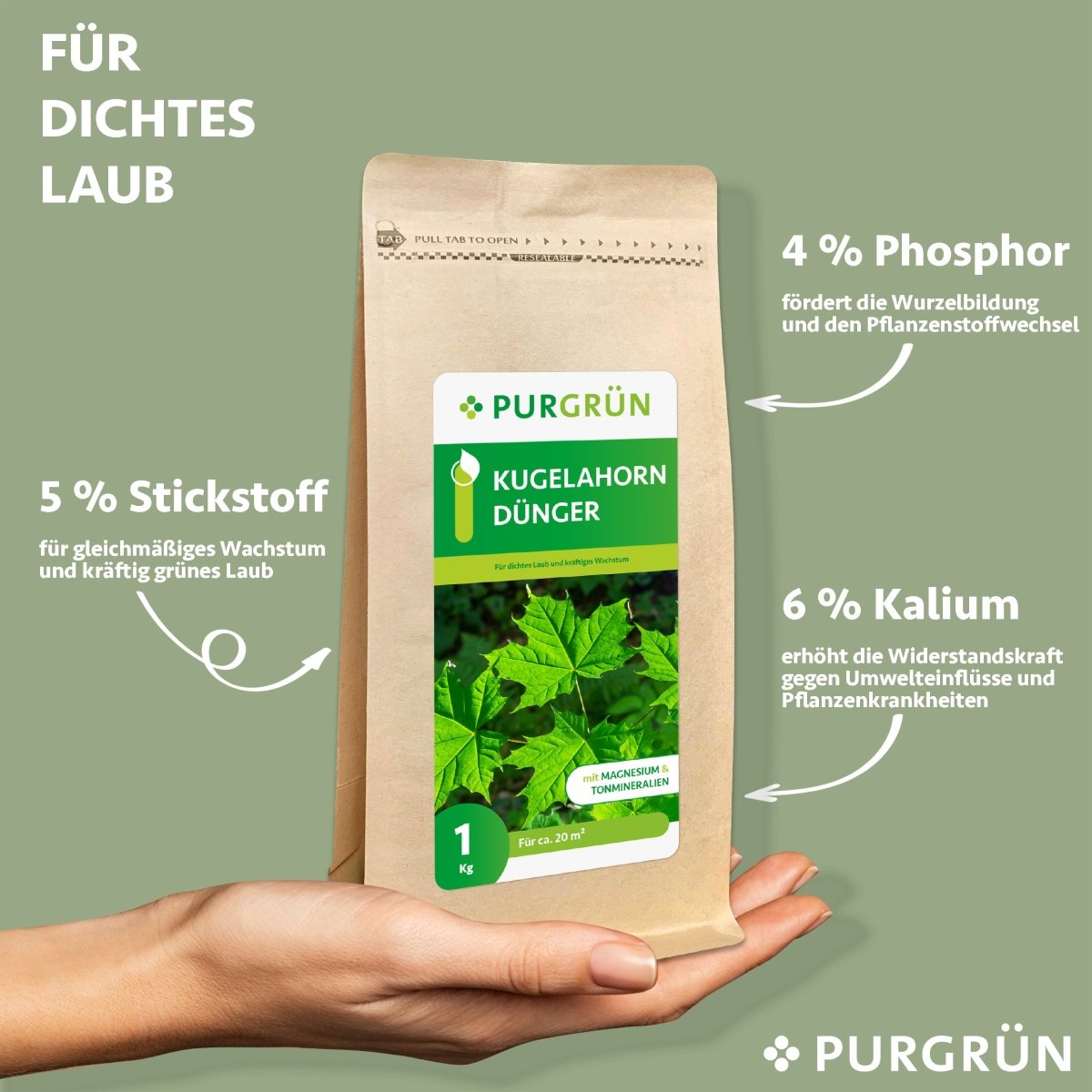 Kugelahorn-Dünger 1 kg - Purgrün