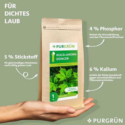 Kugelahorn-Dünger 1 kg - Purgrün