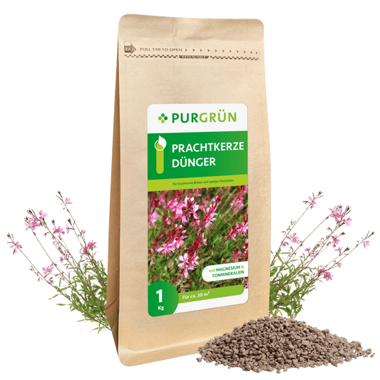 Prachtkerze-Dünger 1 kg - Purgrün