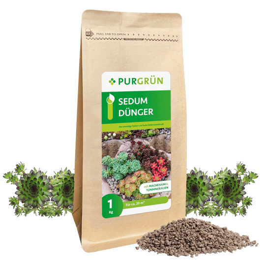 Sedum-Dünger 1 kg - Purgrün