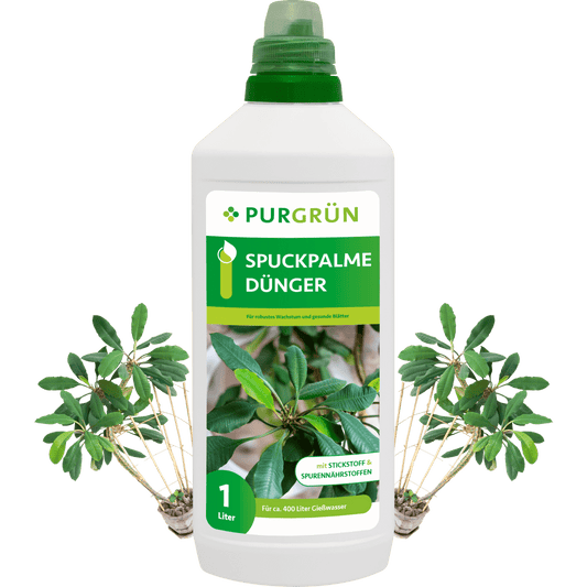 Spuckpalme-Dünger 1 Liter - Purgrün