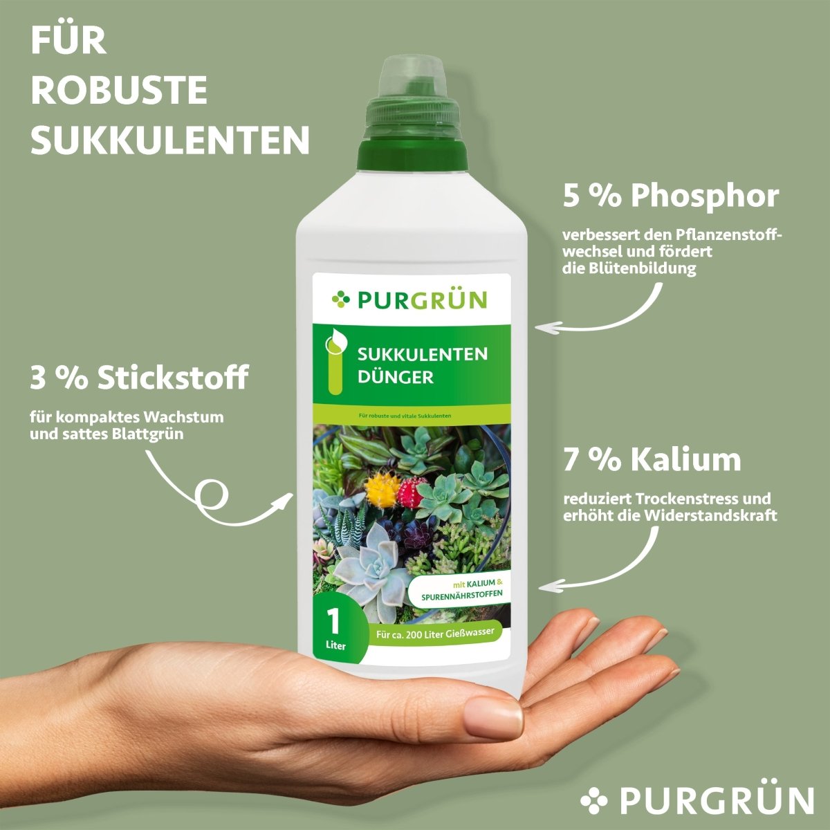 Sukkulenten-Dünger 1 Liter - Purgrün