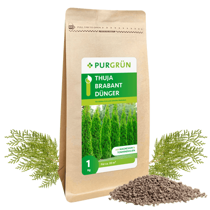 Thuja-Brabant-Dünger 1 kg - Purgrün