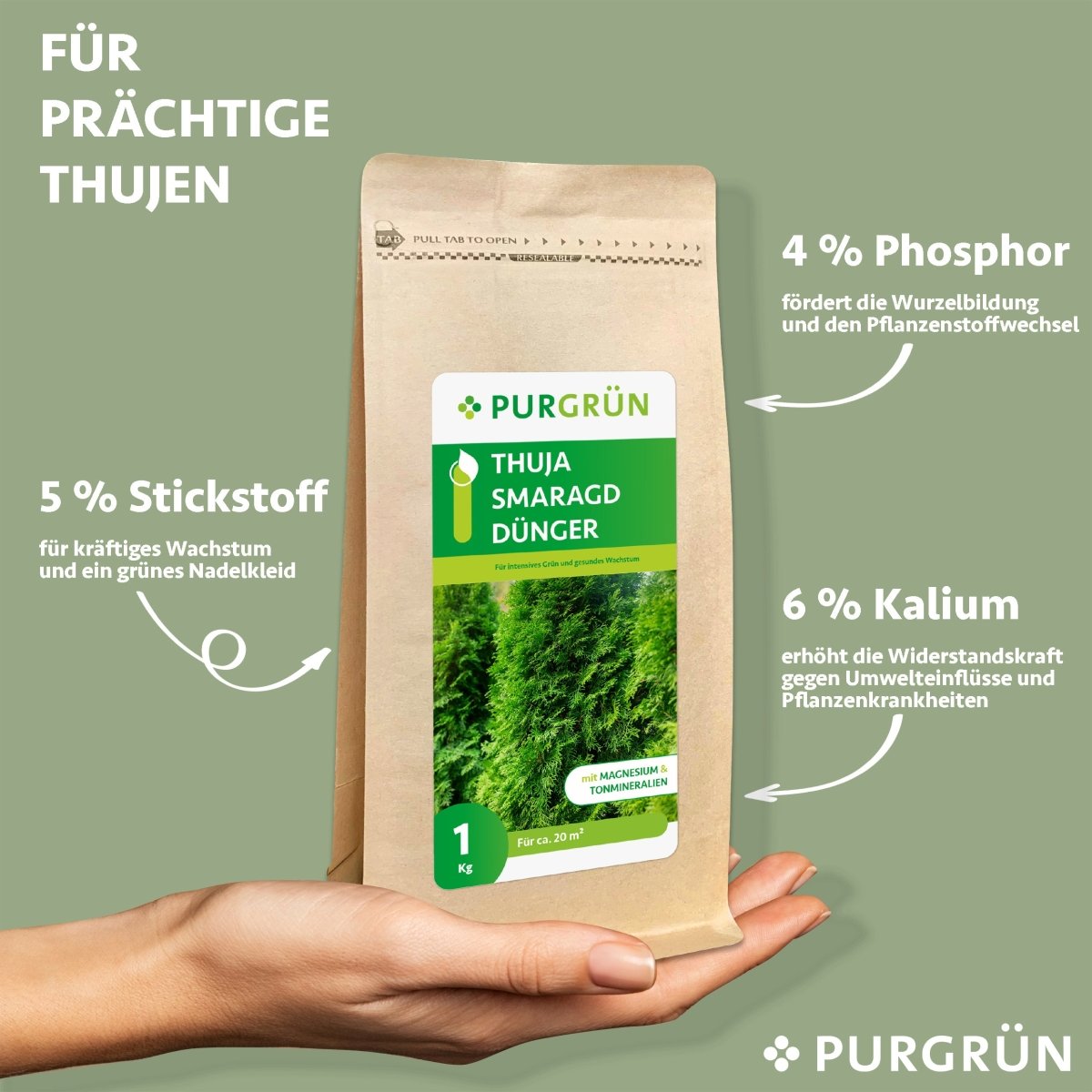 Thuja-Smaragd-Dünger 1 kg - Purgrün