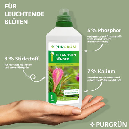 Tillandsien-Dünger 1 Liter - Purgrün