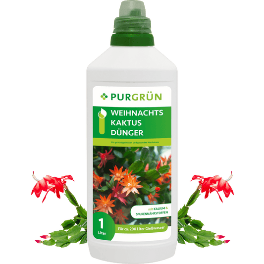 Weihnachtskaktus-Dünger 1 Liter - Purgrün