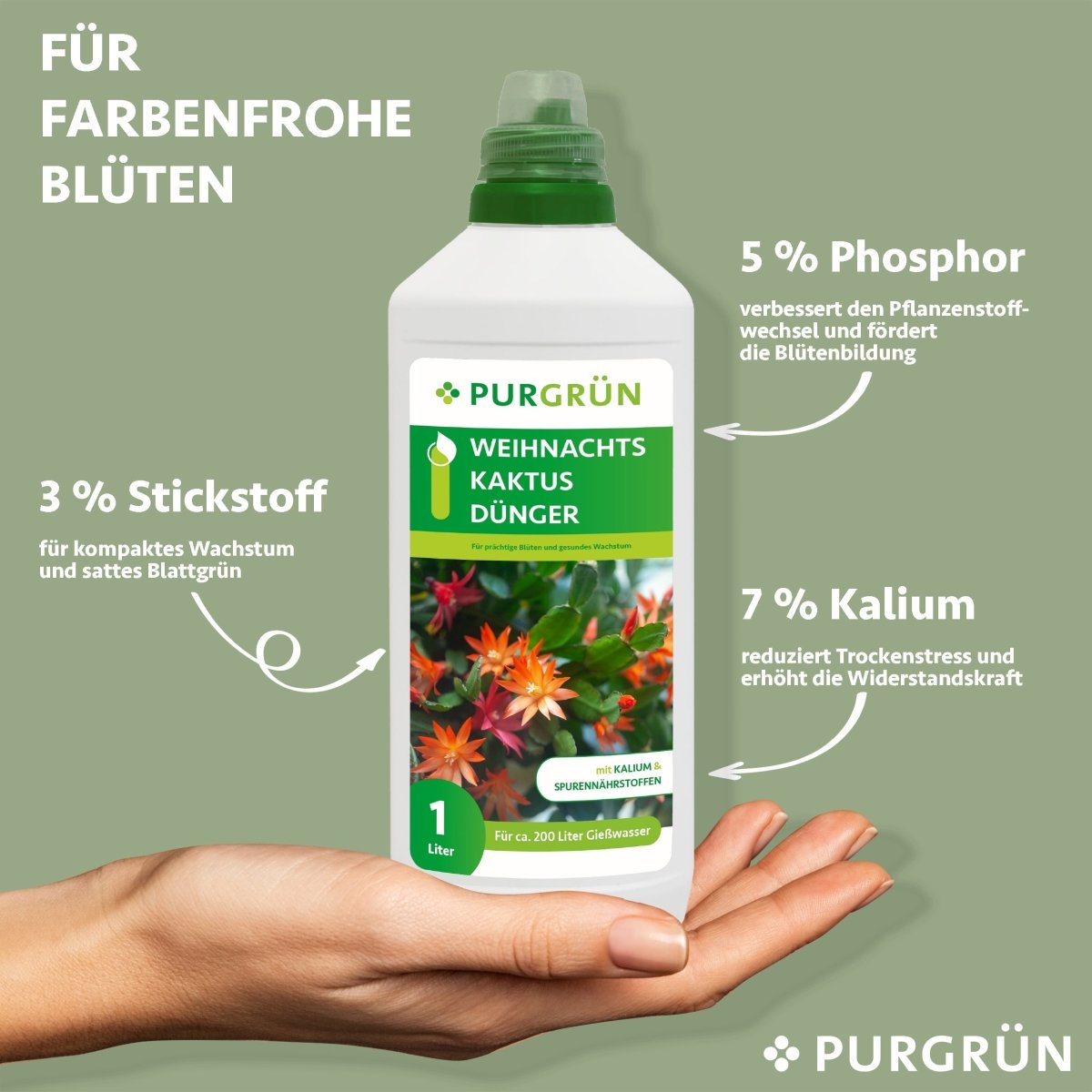 Weihnachtskaktus-Dünger 1 Liter - Purgrün