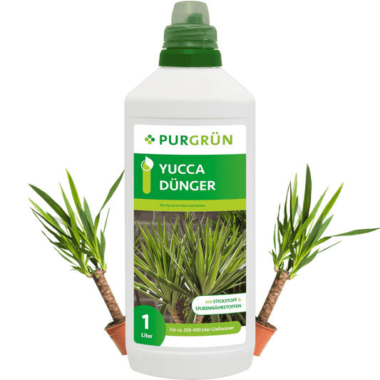 Yucca-Dünger 1 Liter - Purgrün